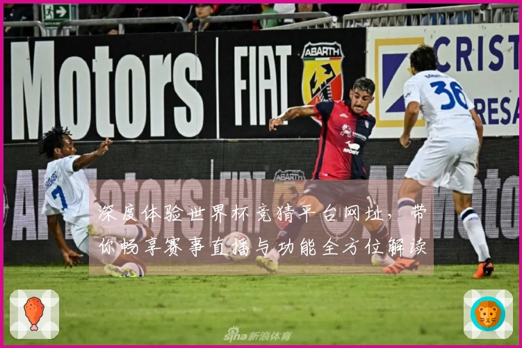 深度体验世界杯竞猜平台网址，带你畅享赛事直播与功能全方位解读