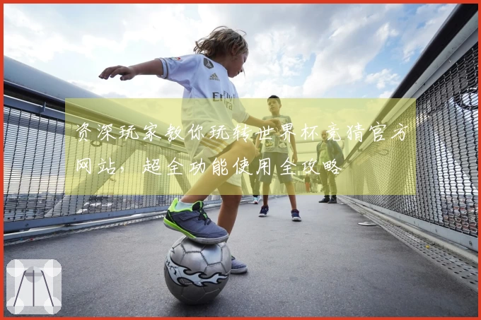 资深玩家教你玩转世界杯竞猜官方网站，超全功能使用全攻略