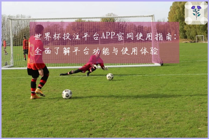 世界杯投注平台APP官网使用指南：全面了解平台功能与使用体验