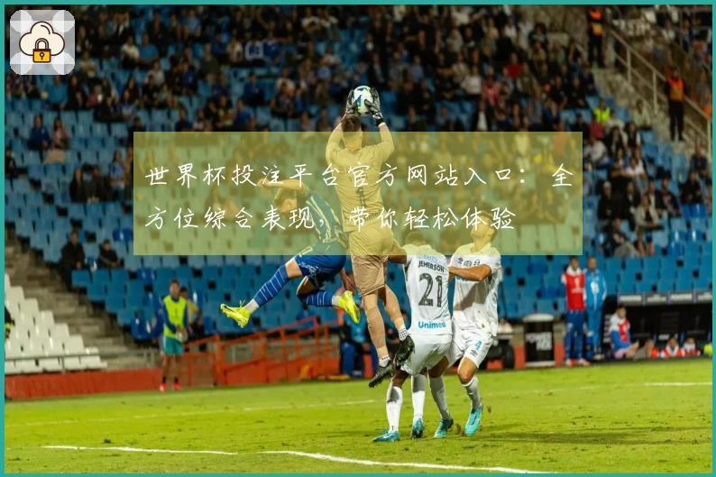 世界杯投注平台官方网站入口:全方位综合表现,带你轻松体验