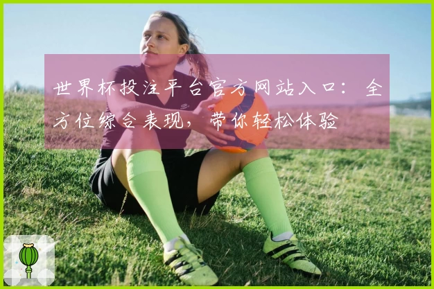 世界杯投注平台官方网站入口：全方位综合表现，带你轻松体验