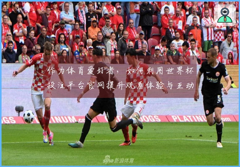 作为体育爱好者，如何利用世界杯投注平台官网提升观看体验与互动乐趣？
