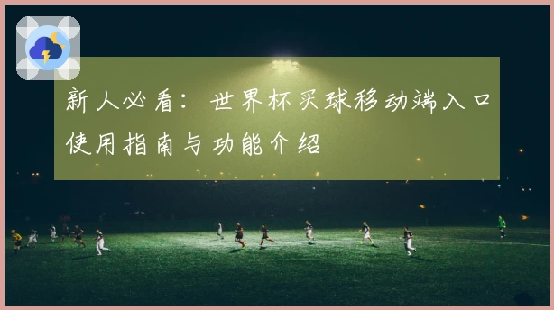 新人必看:世界杯买球移动端入口使用指南与功能介绍