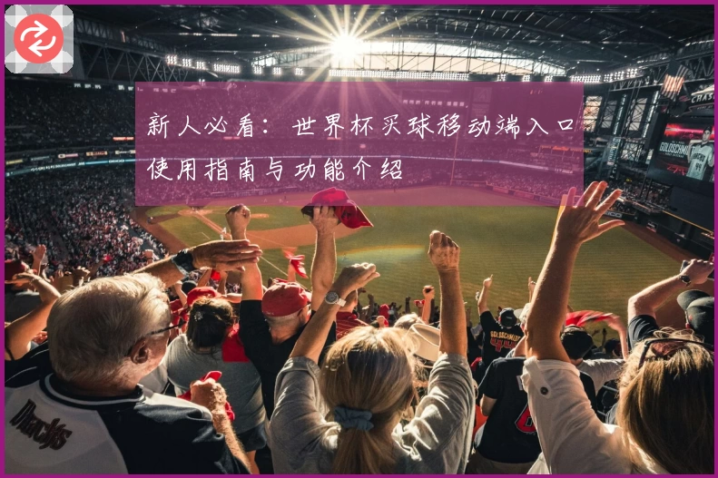 新人必看：世界杯买球移动端入口使用指南与功能介绍