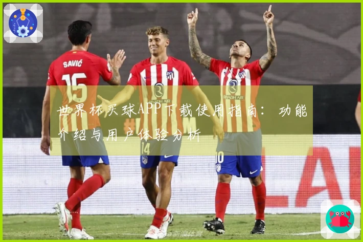 世界杯买球APP下载使用指南：功能介绍与用户体验分析