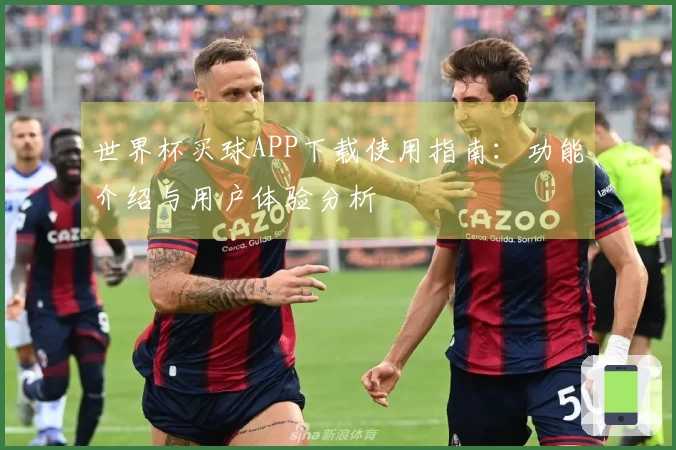 世界杯买球APP下载使用指南：功能介绍与用户体验分析
